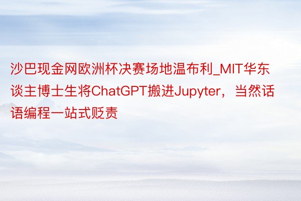 沙巴现金网欧洲杯决赛场地温布利_MIT华东谈主博士生将ChatGPT搬进Jupyter，当然话语编程一站式贬责