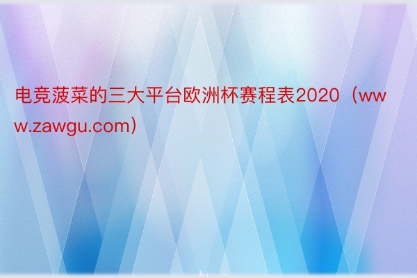 电竞菠菜的三大平台欧洲杯赛程表2020（www.zawgu.com）